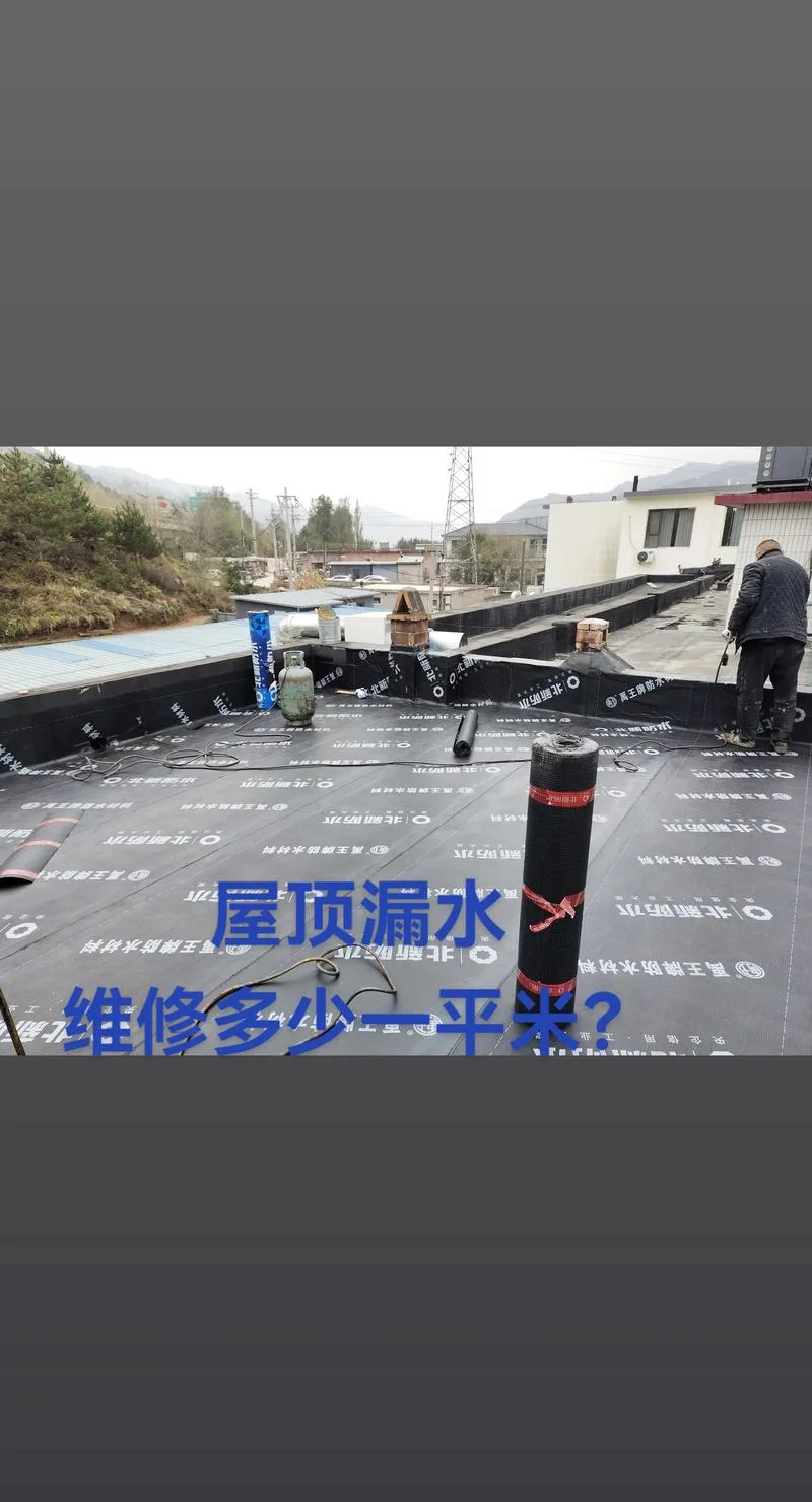 楼顶防水多少钱一平方_2
