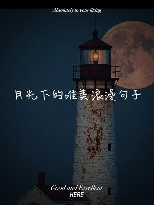 夜晚月亮的感悟说说_1