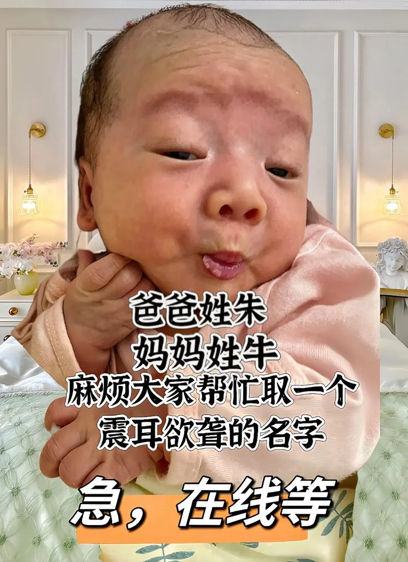 香港宝宝起名排行榜_2