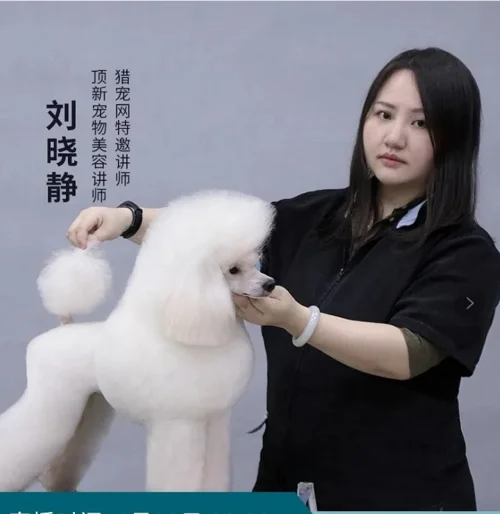 美容师资格证在哪里查_2