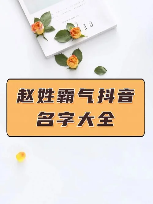 赵姓虎宝宝起名字女孩_1