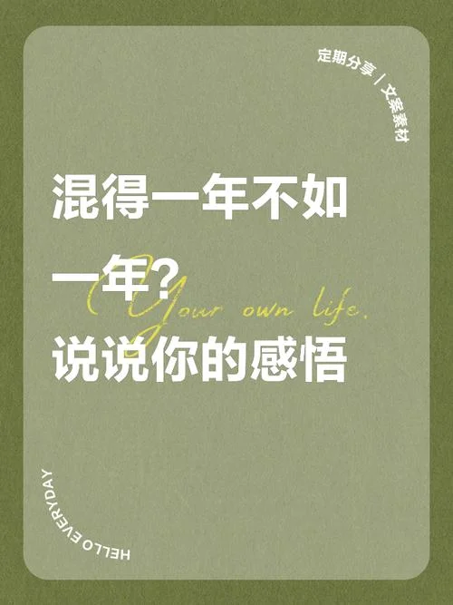 一年总结感悟图片_1