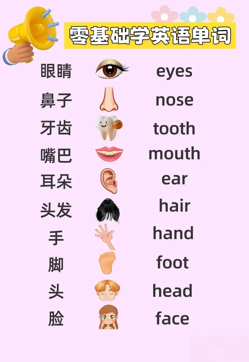 脸用英语怎么说了-脸怎么讲英语