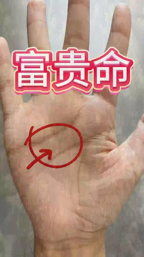 看手相必须给钱吗_2