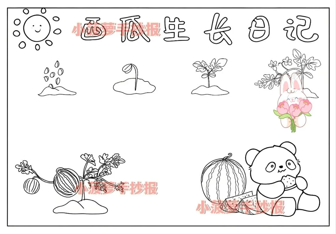 西瓜花简笔画图片大全_1