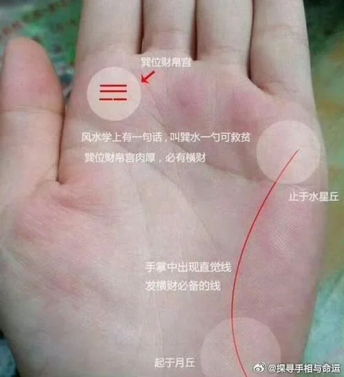 手指头手相-指尖手相解读