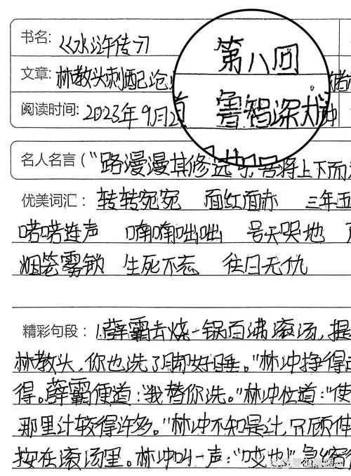 水浒传第七,第八回感悟_1