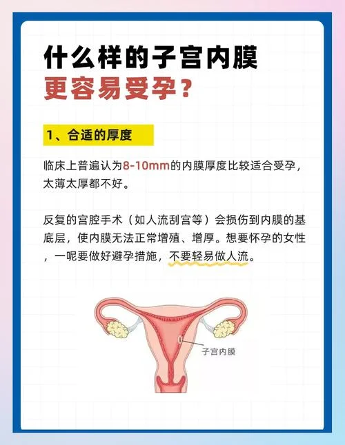 什么是子宫内膜太薄_1