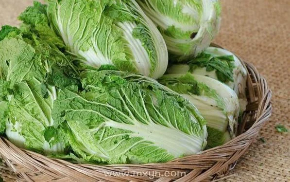 做梦梦见买白菜_2