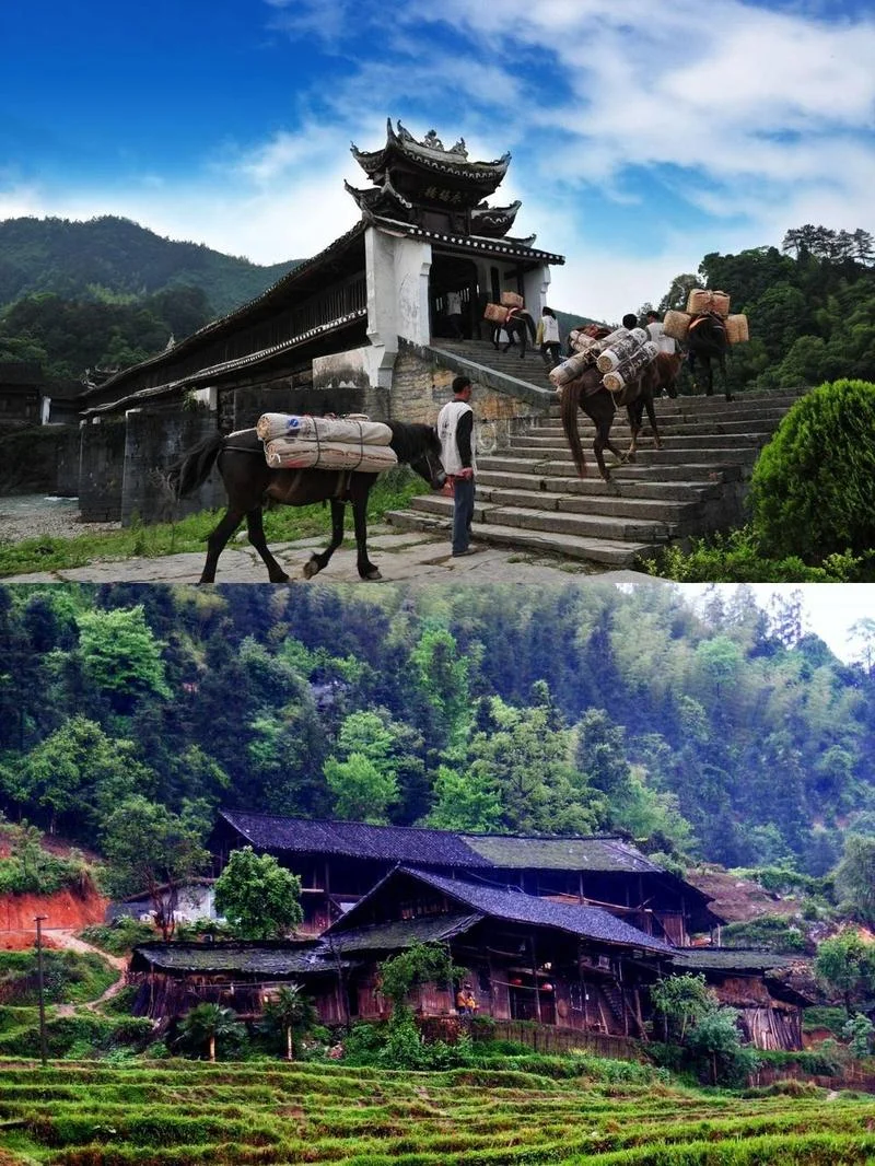 益阳免费旅游景点大全-益阳免费景点一览