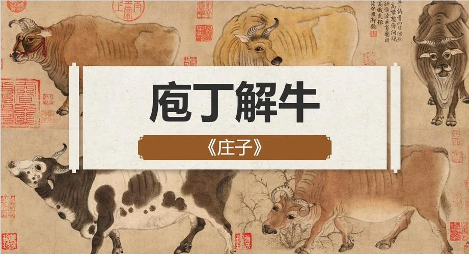庖丁解牛出自于哪里_2