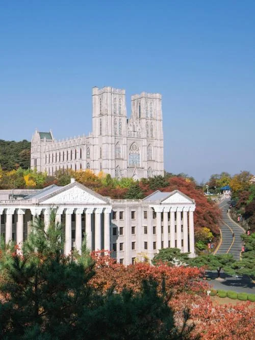 韩国大学是什么大学_2