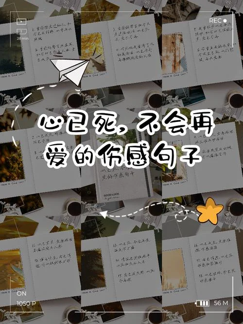 失恋的句子说说心里话_1