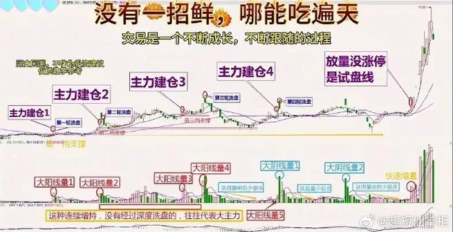 仓位爆仓是什么意思_1