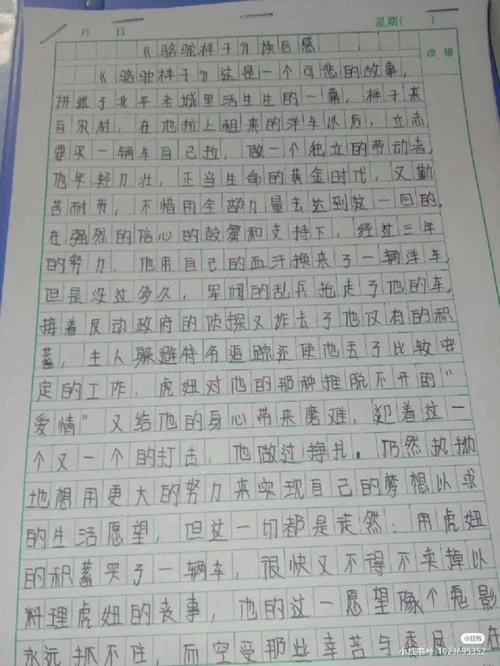 项链读后感1000字_1