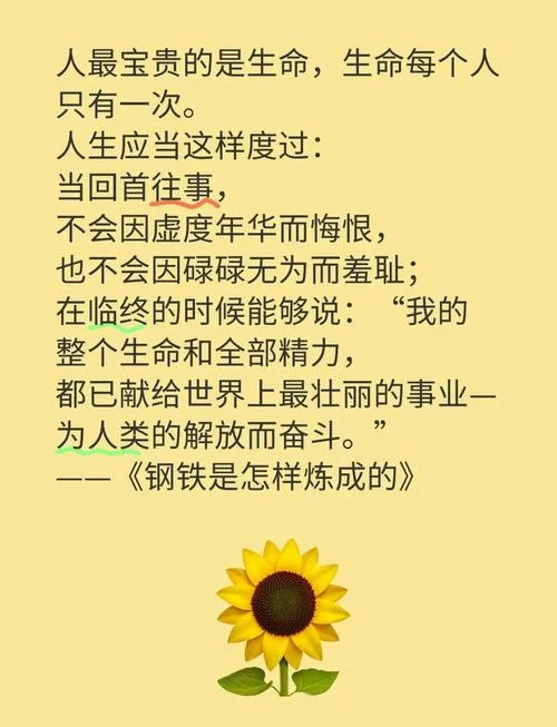 生命漫长也短暂感悟_2
