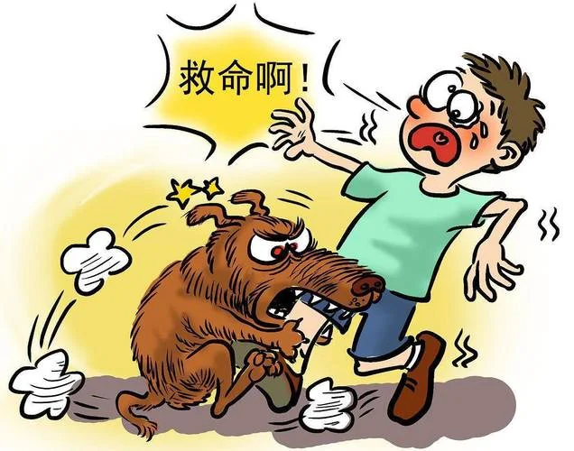 做梦梦见狗咬住不放_1