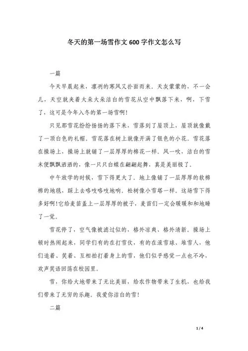 今年第一场雪的感悟_2