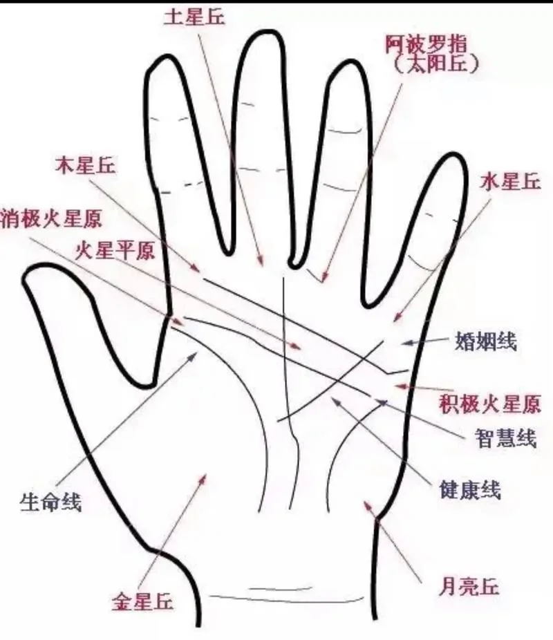面相手相图解-面相手相图解