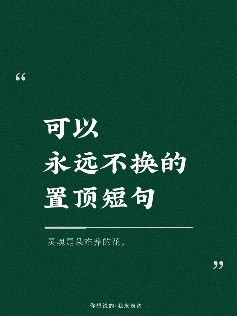 干净文艺小众文案_2