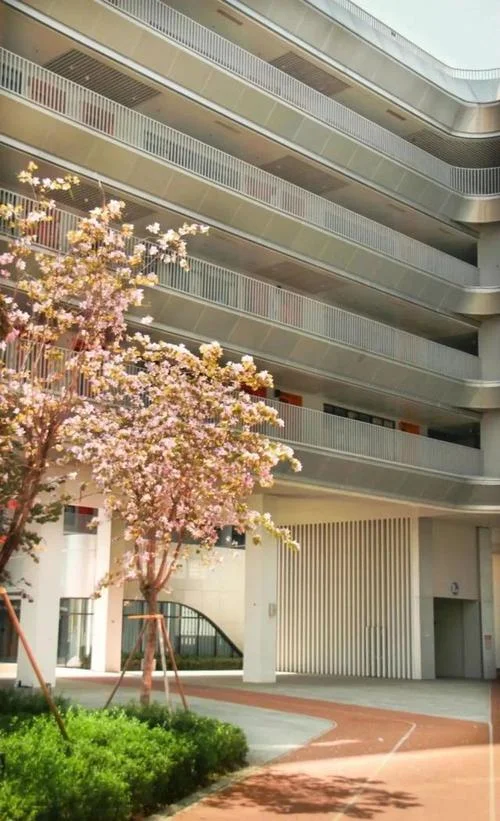 深圳观澜中学-深圳观澜中学