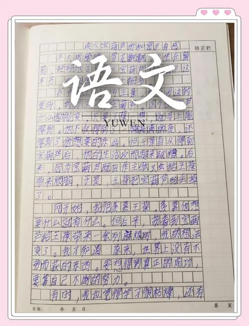 宝葫芦的秘密的感悟怎么写_2