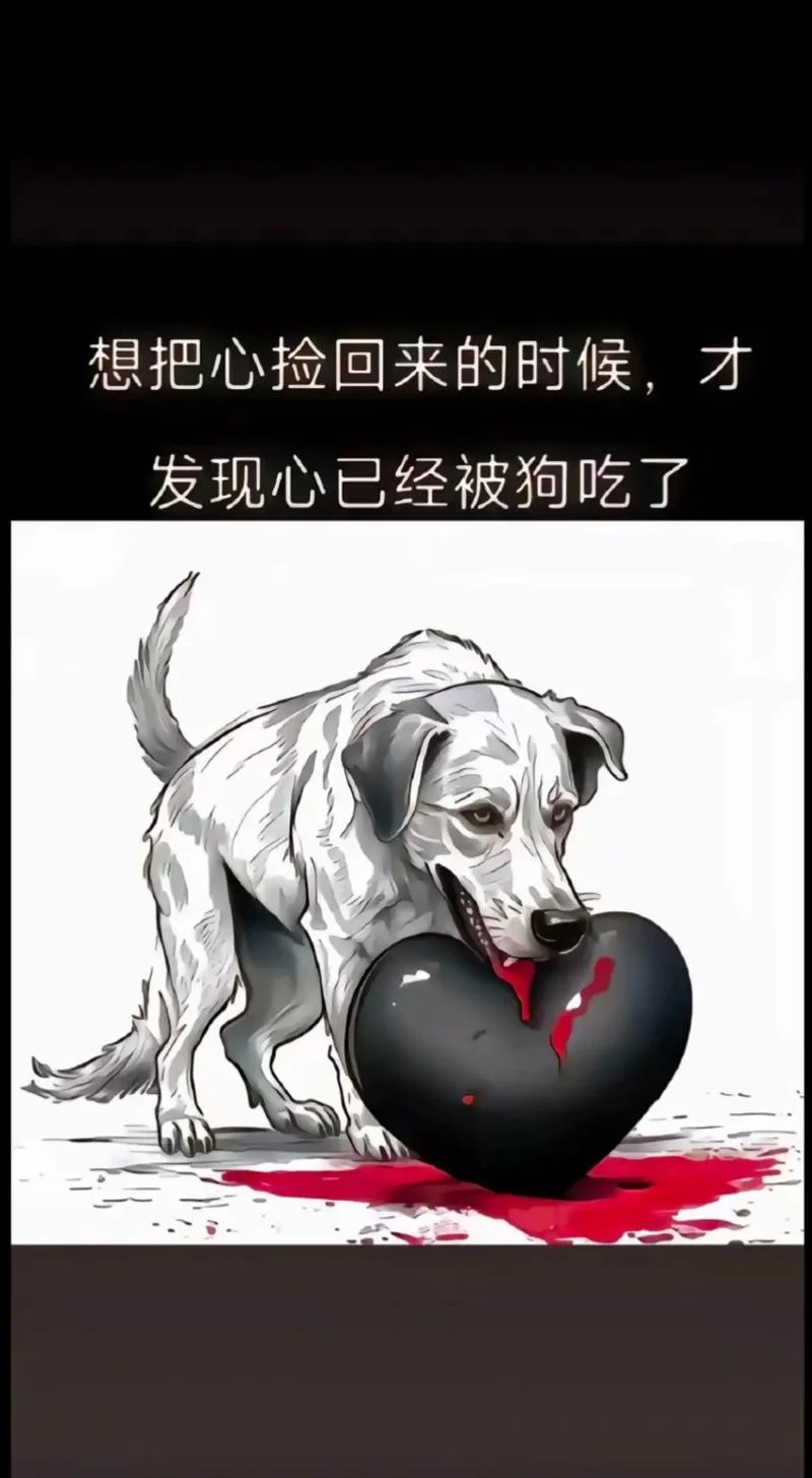 掏出自己的心脏照亮_2