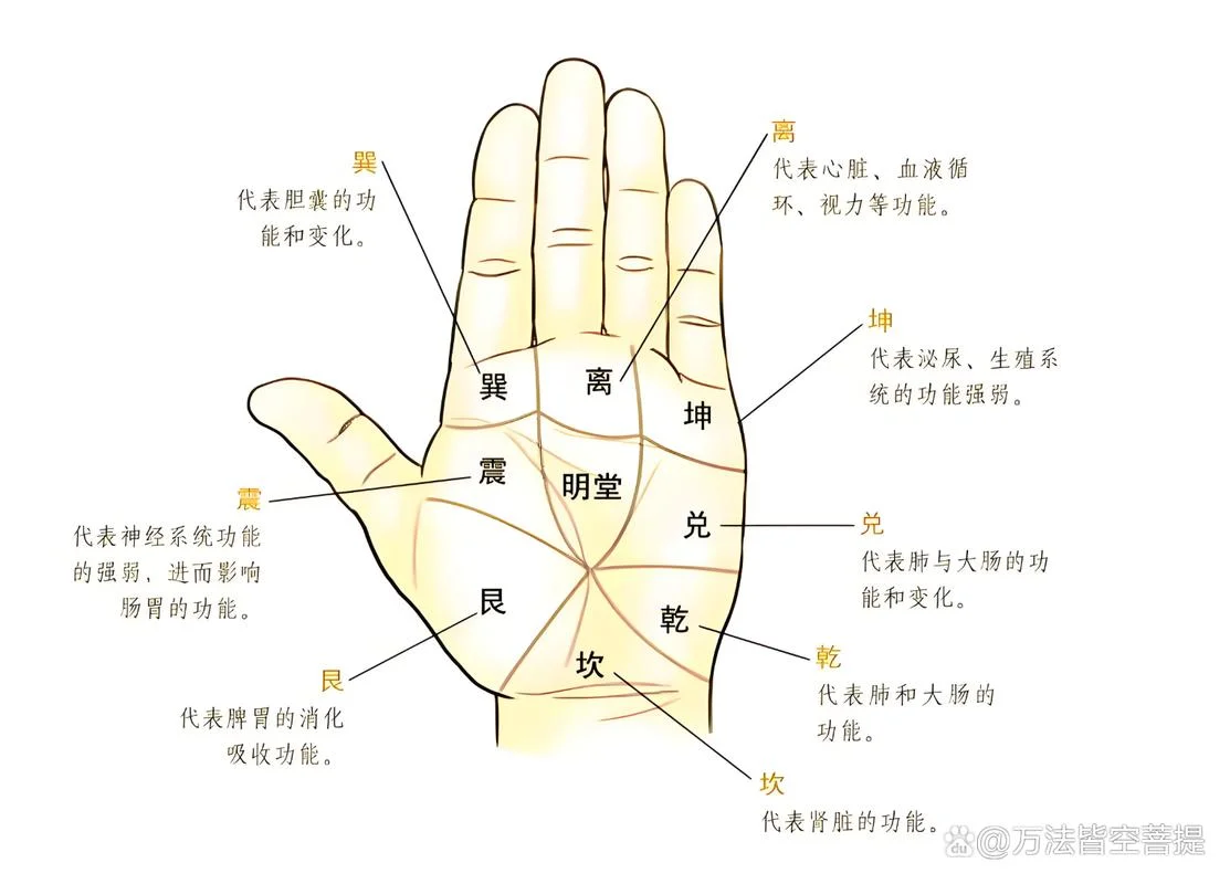 看手相金钱线_2