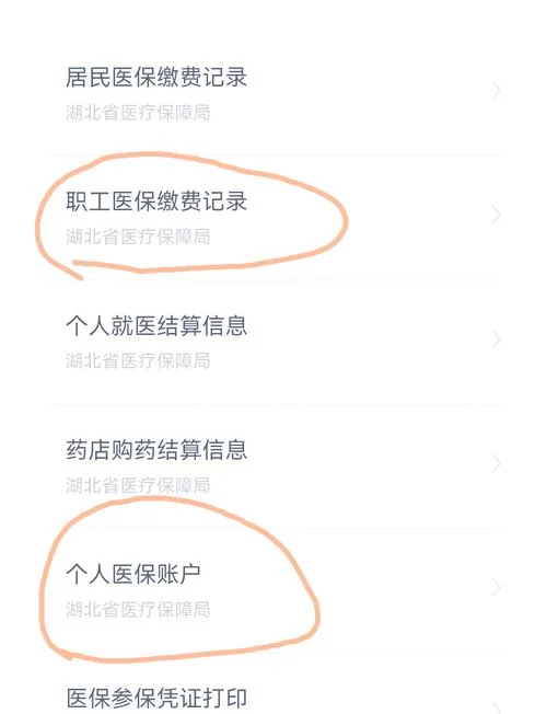 鄂汇办历史版本下载-鄂汇办旧版安装包
