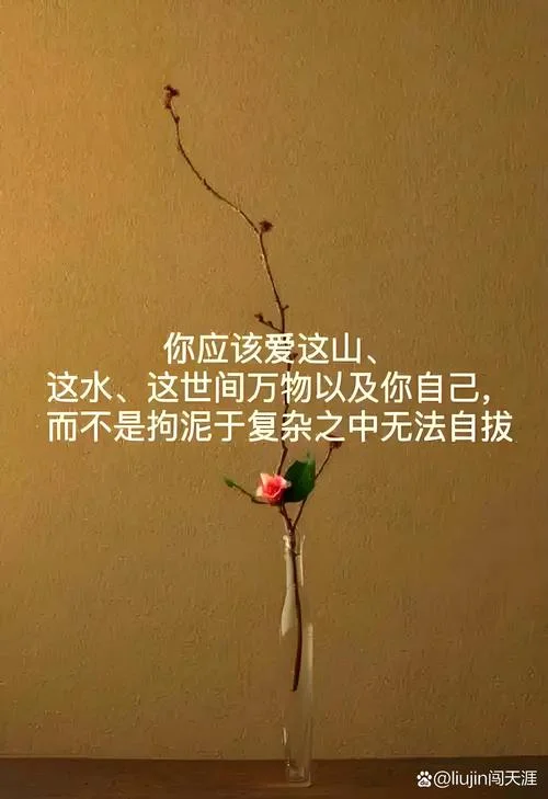 奔跑不放弃的感悟_1
