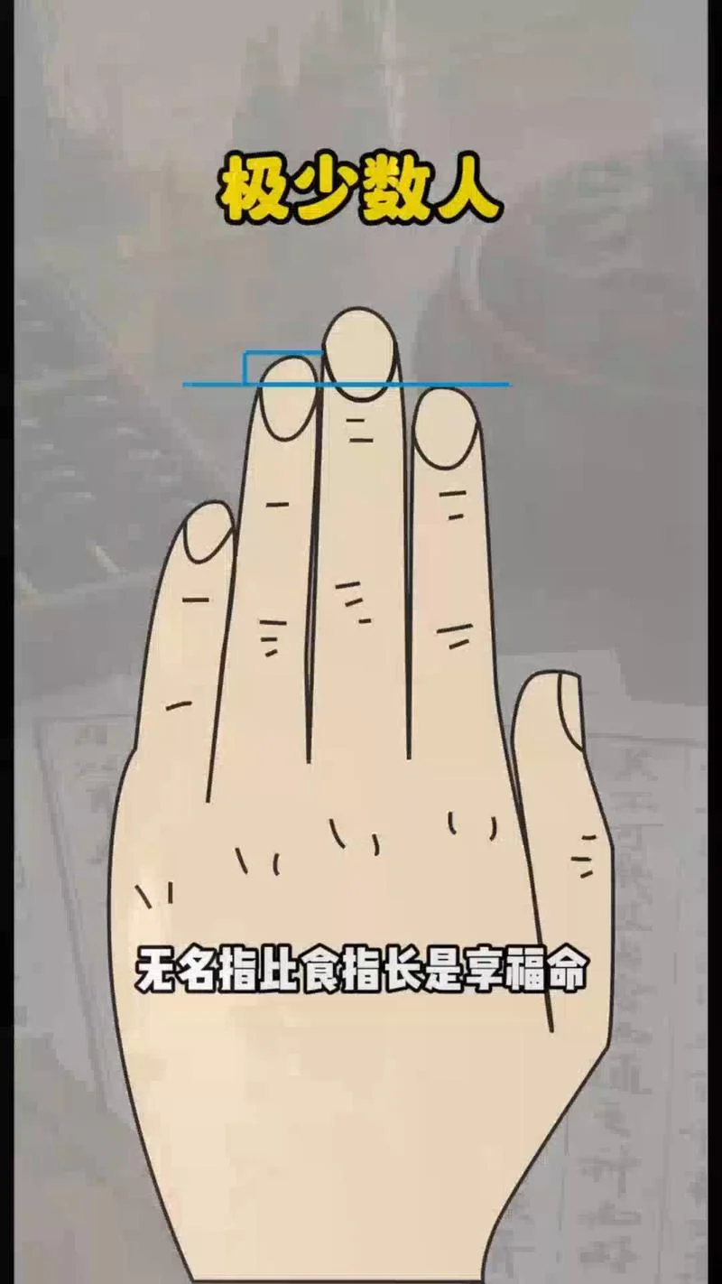 手相中指无名指一样长-中无指长，寓意不同