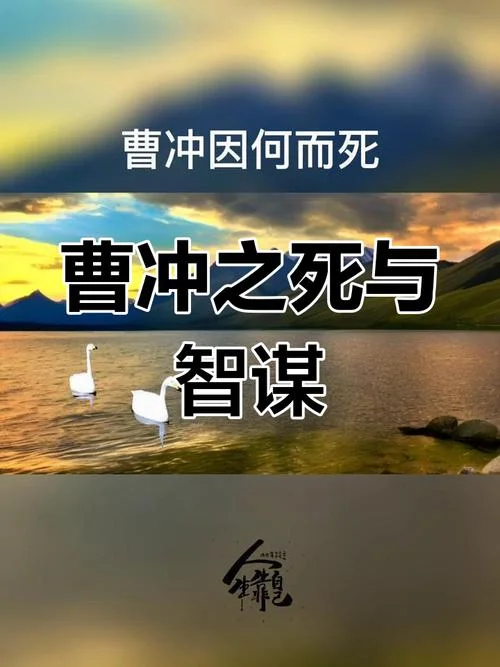 曹仁之死大结局_2