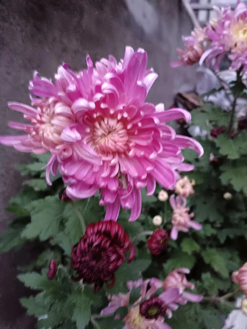 粗心大意的人叫什么呀_2