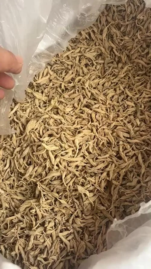 麦冬一亩地能挣多少钱_2