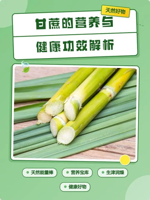 梦见别人吃甘蔗是什么预兆_2