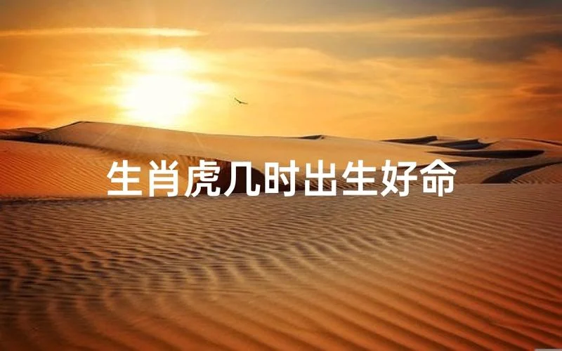 虎宝宝几点出生最好命_2