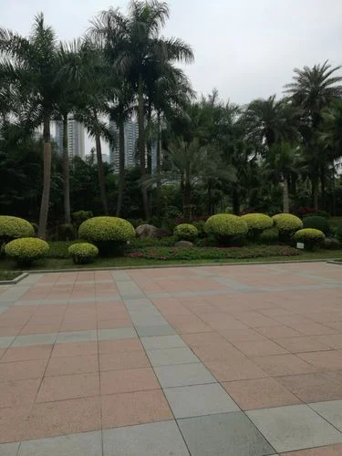 天河市红祥村是哪个省-天河市红祥村在湖南