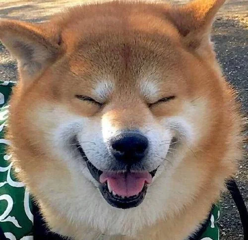 闲杂人等的下一句_2