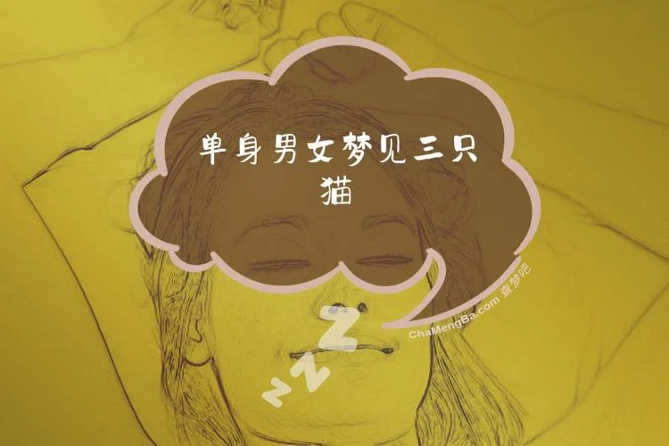 梦见好几只猫是什么预兆_2