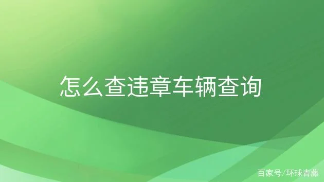查违章在哪里查最快_2