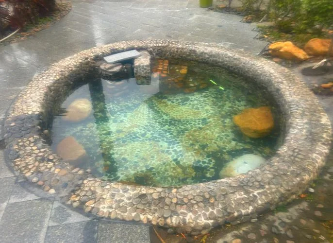 广州泡温泉一日游_1