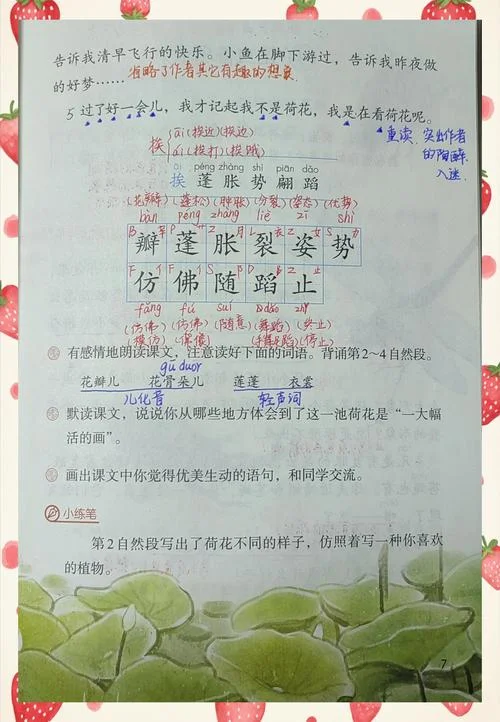 花蕾的拼音怎么写啊_2