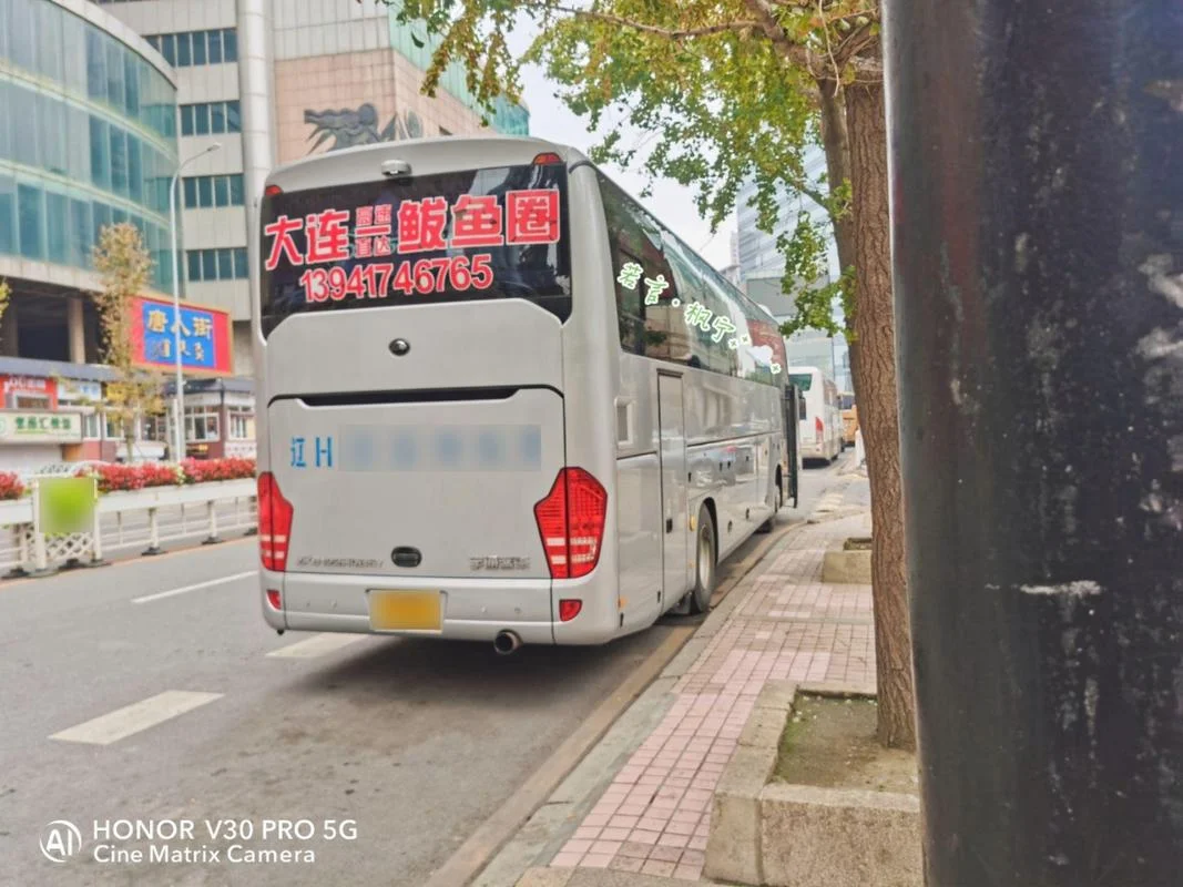 鲅鱼圈到大连多少公里_2