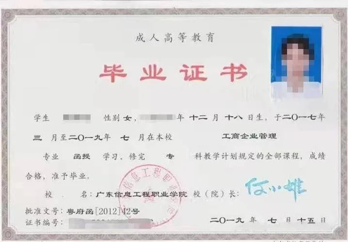 毕业证书号查询_1