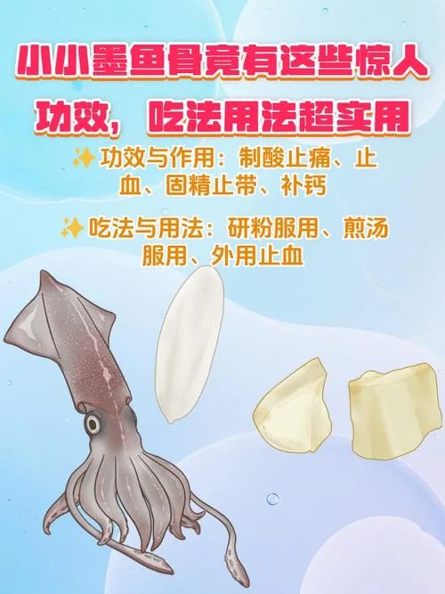 墨鱼自蔽告诉我们什么道理-墨鱼自蔽有何道理