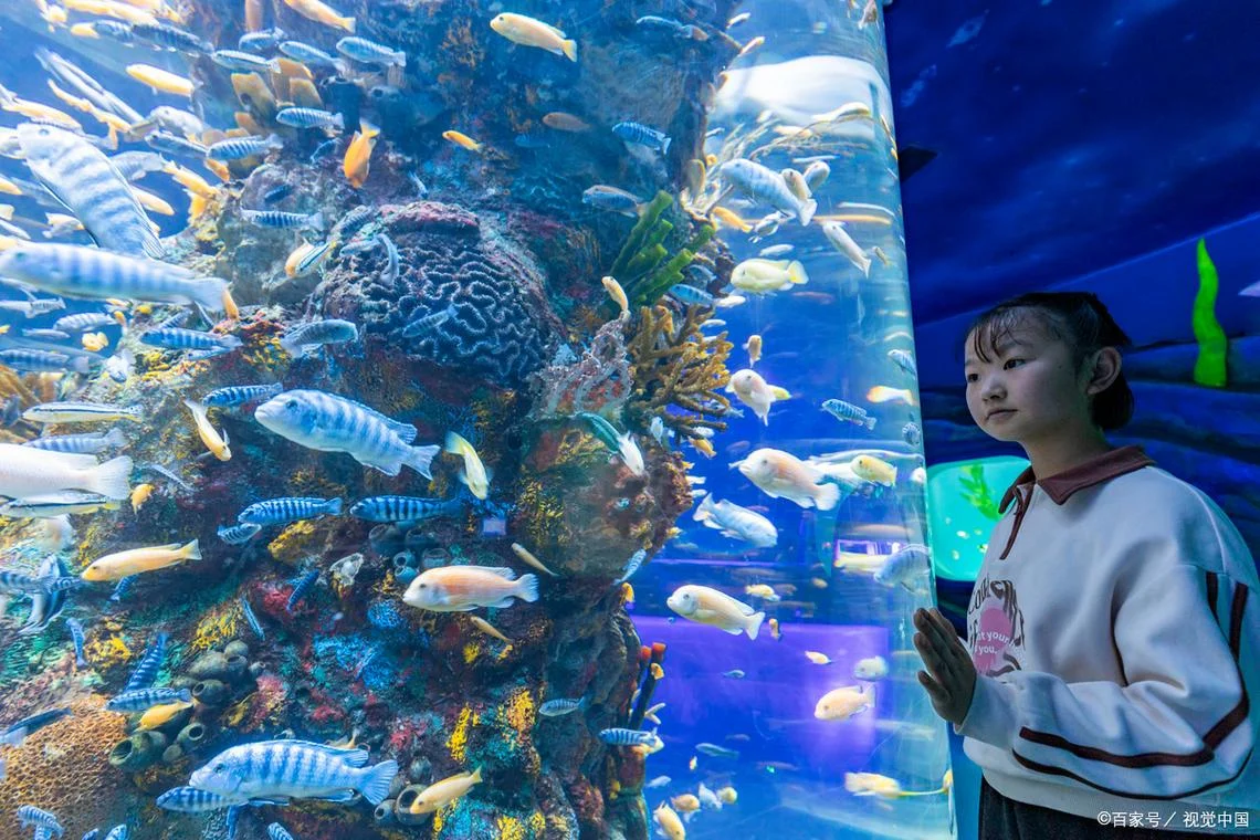 上海水族馆一日游_2