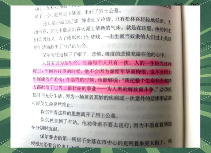 钢铁是怎样炼成的阅读感悟400字_1