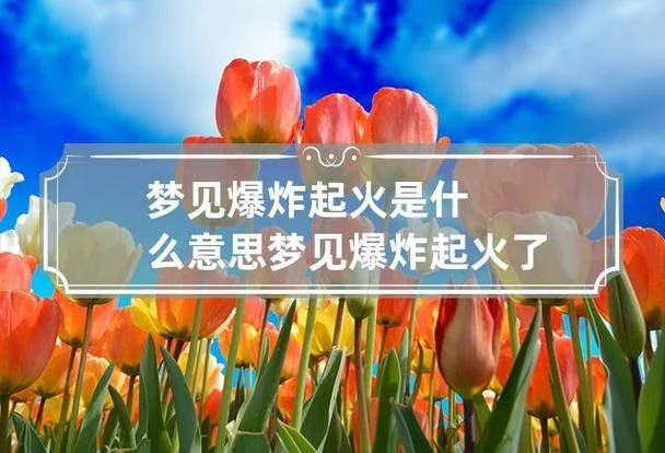 女人梦见厂里起火代表什么预兆-梦厂起火预兆