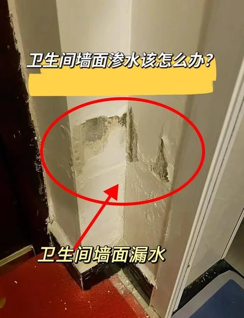 梦到厕所漏水-梦到厕所漏水