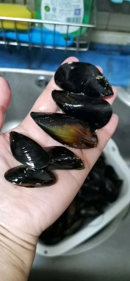 海虹医药网是个什么网_1